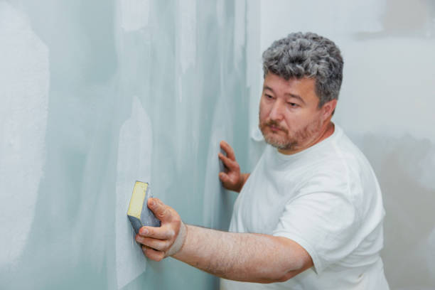 Trusted South Coatesville, PA Mold Removal Experts
